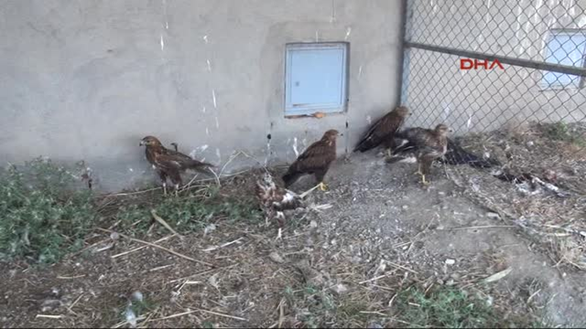 Rehabilitasyon Merkezi Hastane Gibi Çalışıyor