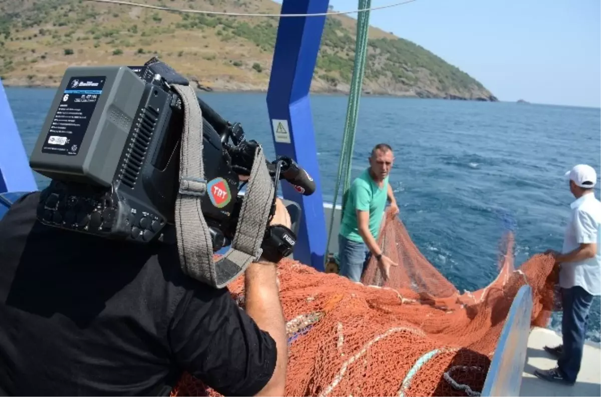 Seydi Ali Reis Sinop Tanıtımında Yer Aldı