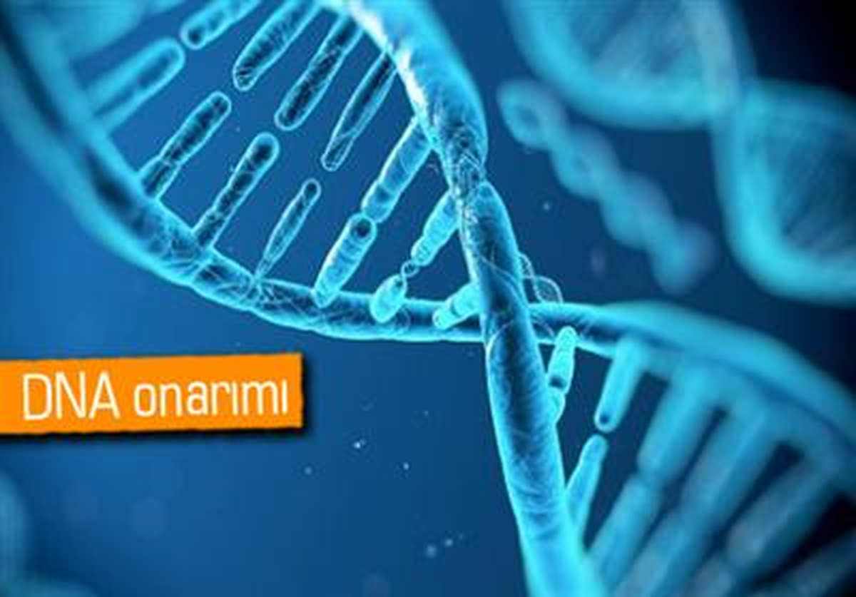 Türk Bilim İnsanından Kanserle İlgili Önemli Buluş