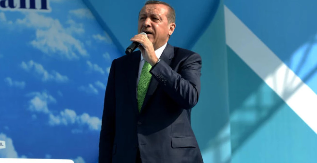 Bağımsız Ülkücüler Platformu, Başbakan'ı Desteklediklerini Açıkladı