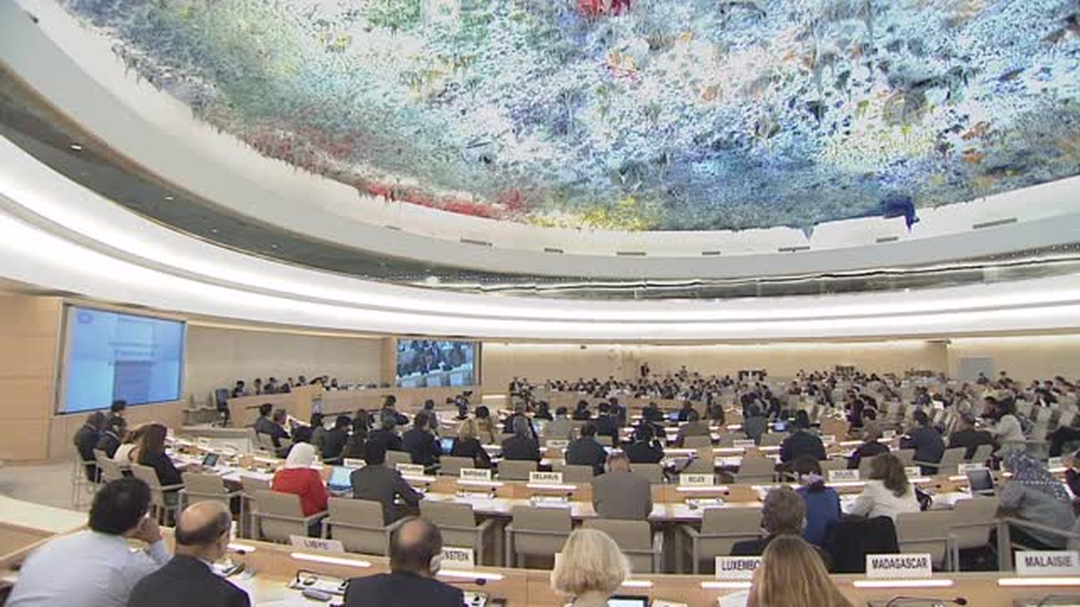 BM\'de Gazze için özel oturum -