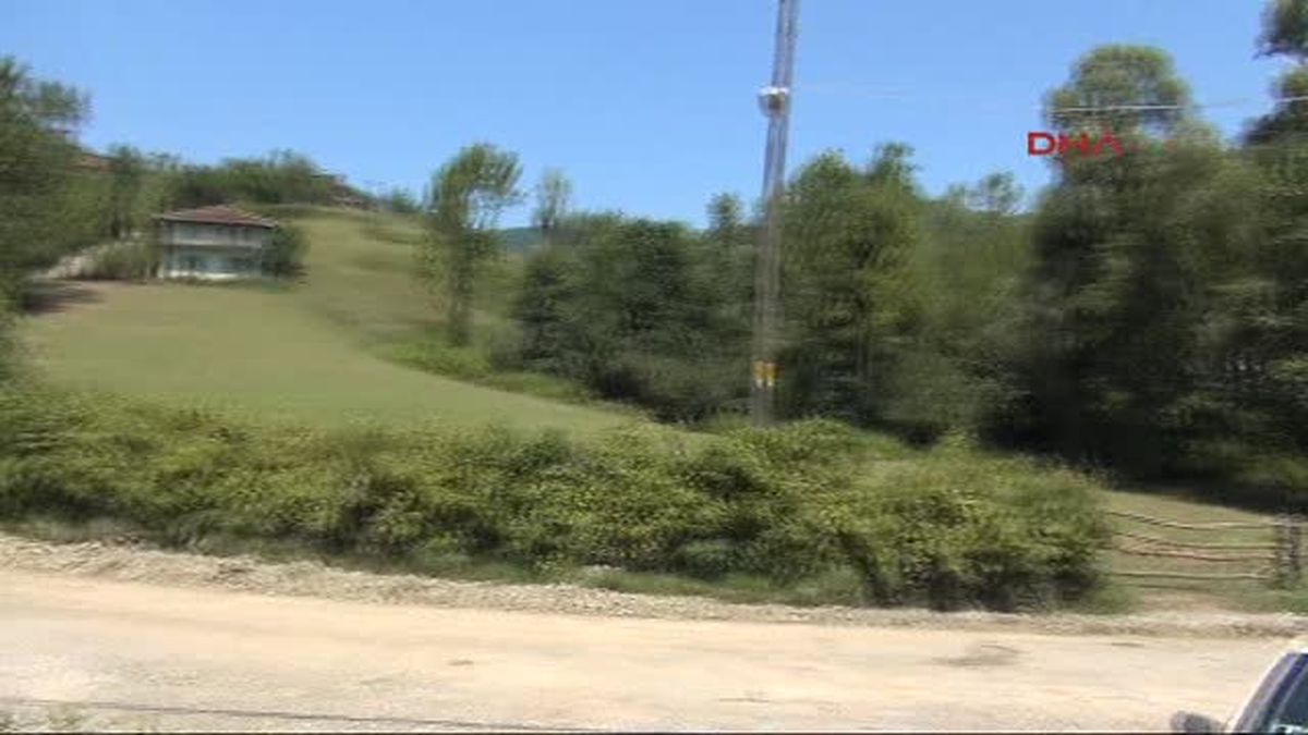 Cep Telefonuyla Ağaca Çıkarak Konuşuyorlar