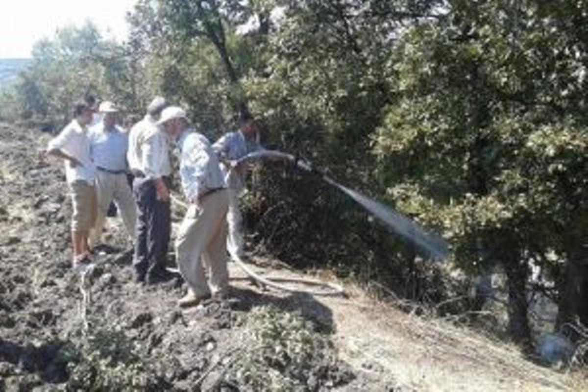 Bursa\'da Elektrik Tellerine Temas Eden Kuş Yangın Çıkardı