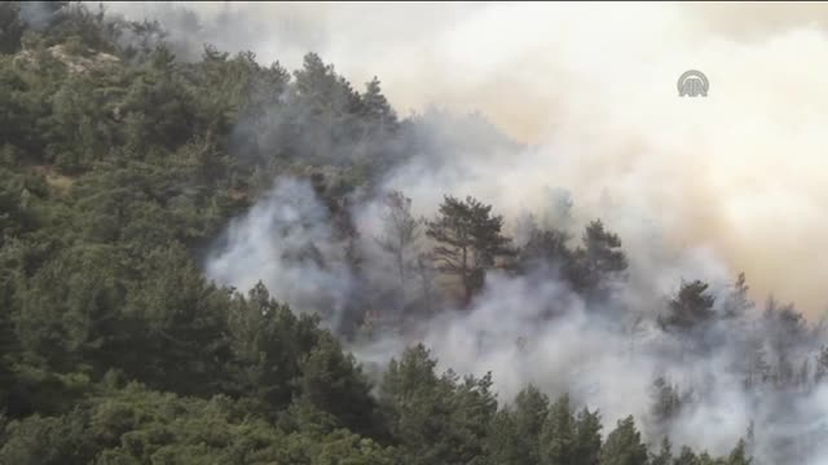 Haziran yağışları ormanlara yaradı -