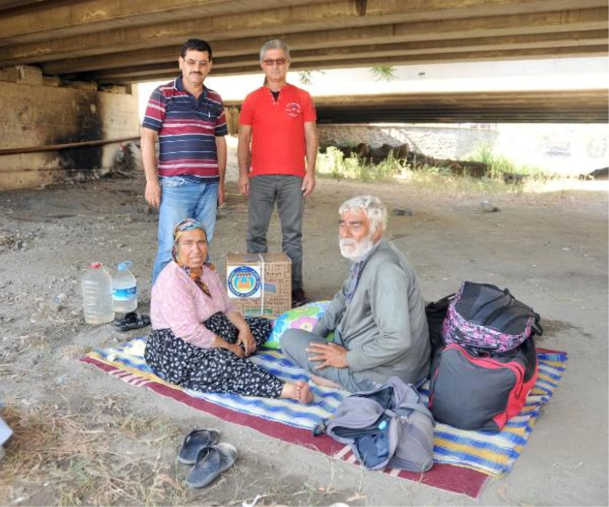 Mersin\'de Köprü Altında Yaşayan Çifte Sahip Çıktılar