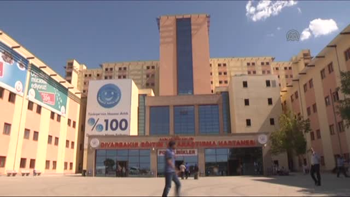 Lice\'de LPG yüklü tankerin patlaması - Sağlık Bakanlığı heyeti -