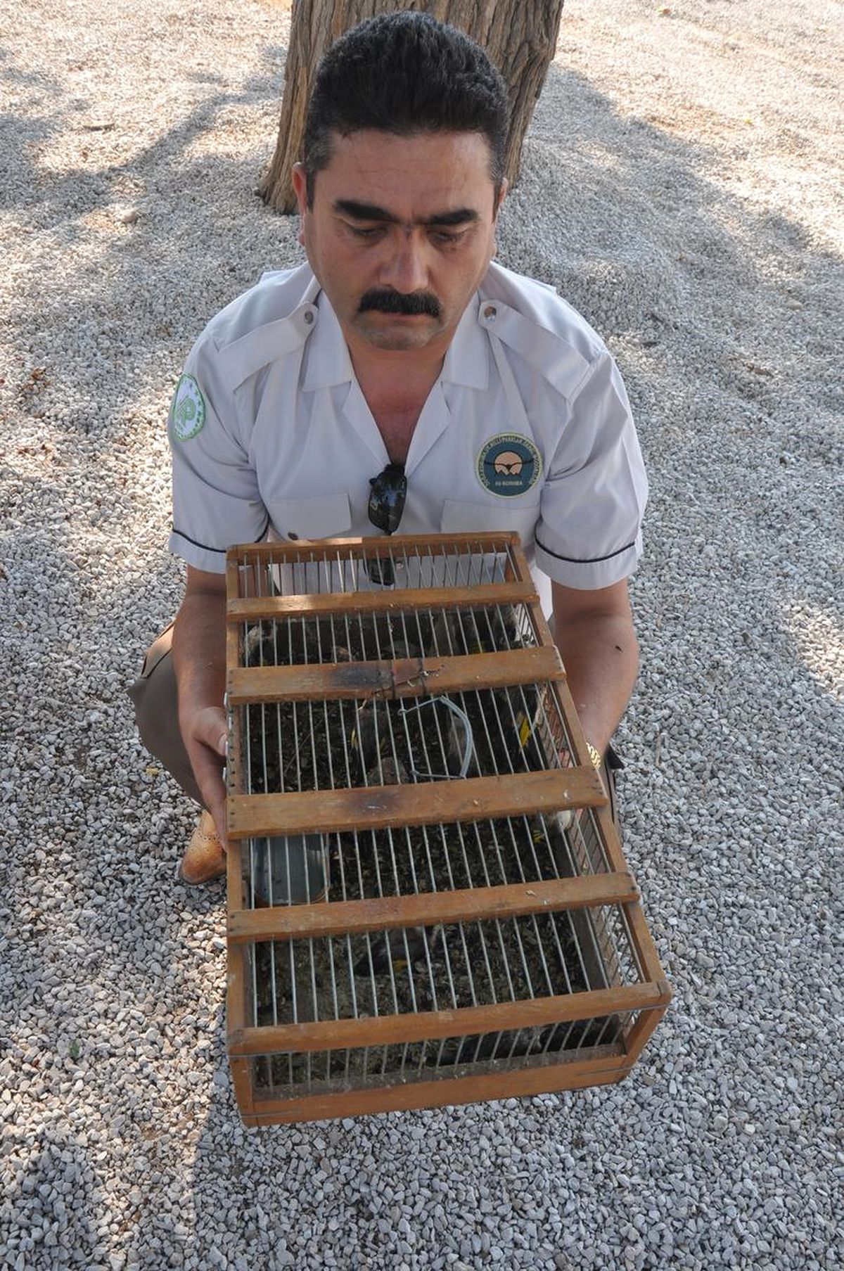 Saka Kuşları Doğaya Bırakıldı