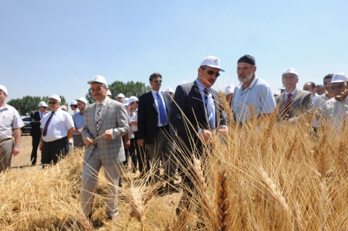 Vali Şerif Yılmaz: "Buğday Bizim Açımızdan Stratejik Bir Üründür"