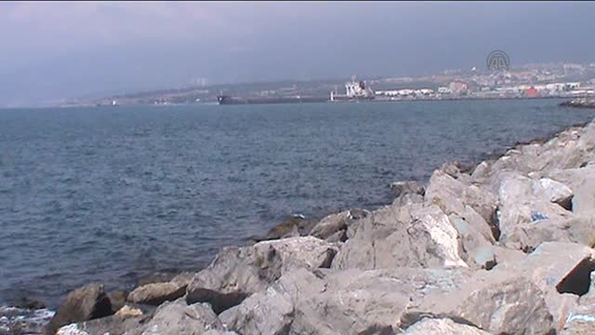 Yük gemisi İskenderun Limanı\'nda karaya oturdu -
