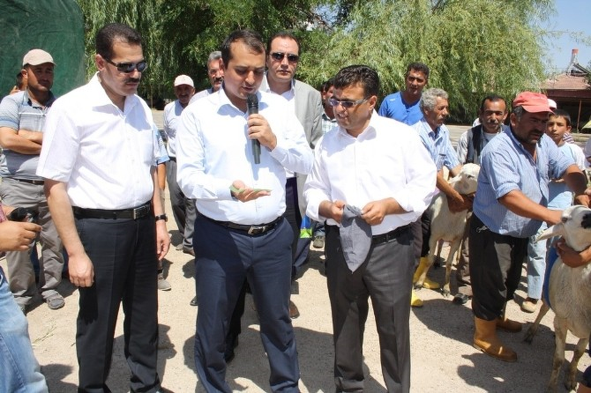 Aksaray\'da 148 Damızlık Koç Düzenlen Törenle Dağıtıldı