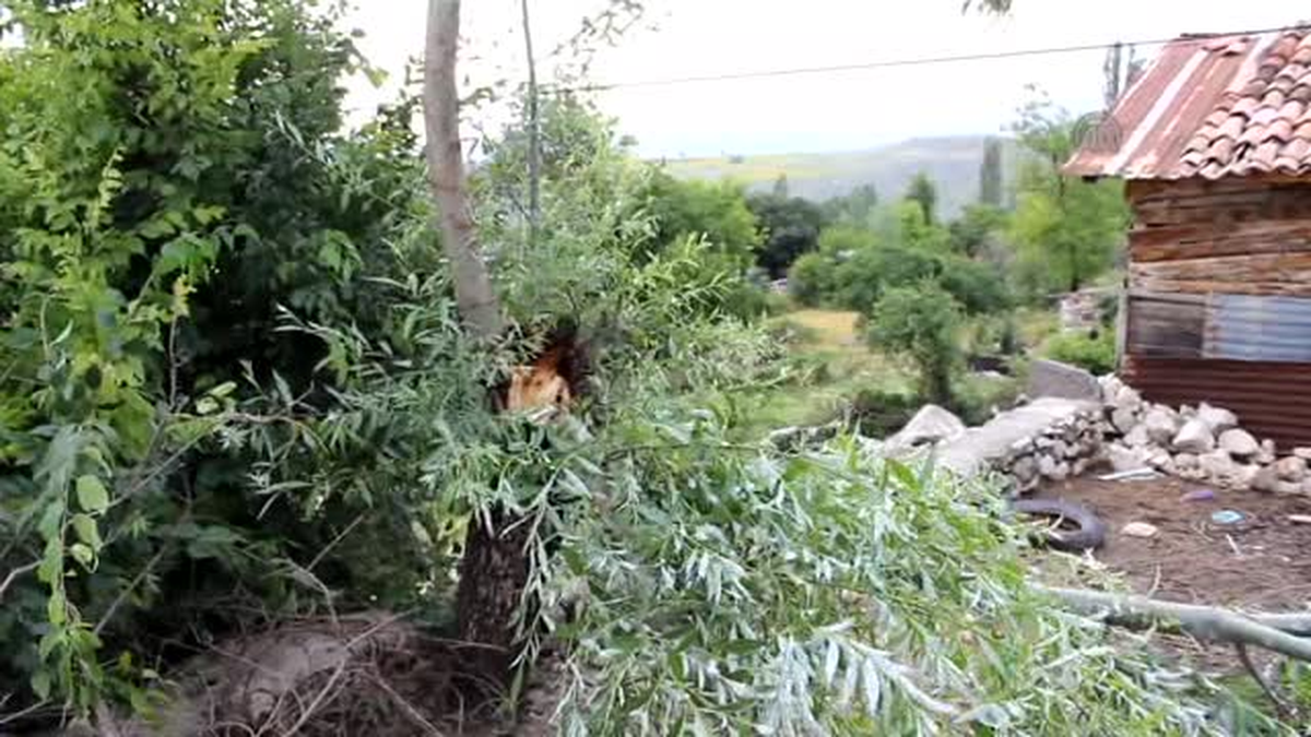 Düzce\'de Şiddetli Rüzgar ve Sağanak