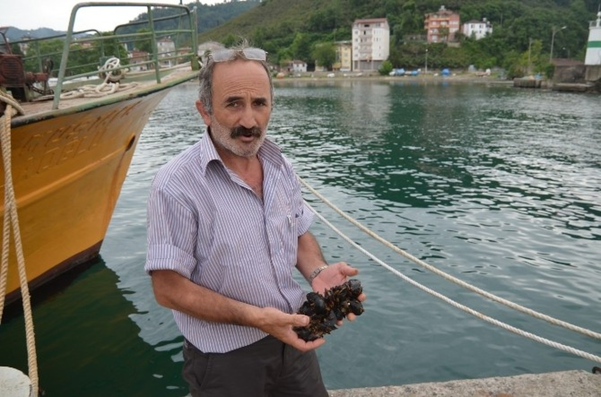 Midye Balıkçıların İkinci Geçim Kaynağı Oldu