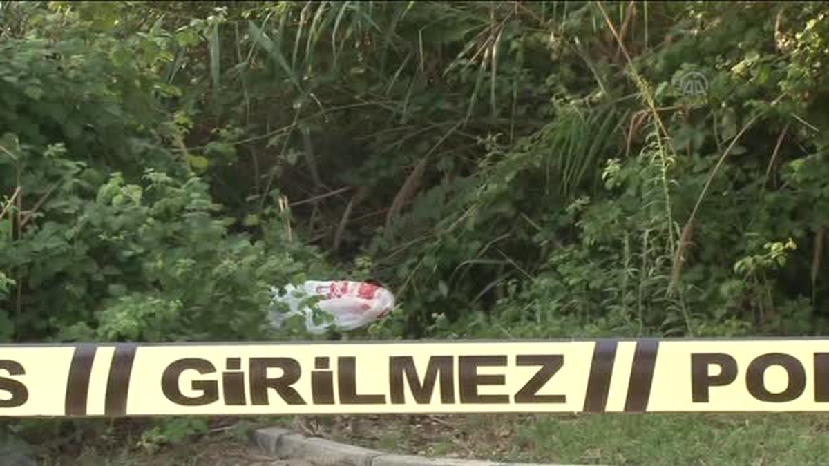 Yol kenarında boğazı kesilmiş kadın cesedi -