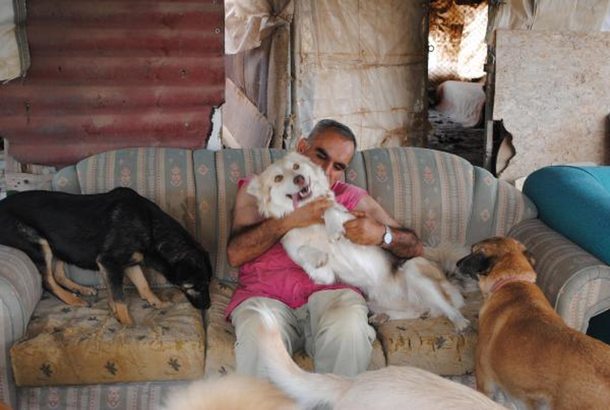 Ankara Çankaya\'da 39 Köpeğe Bakıyor