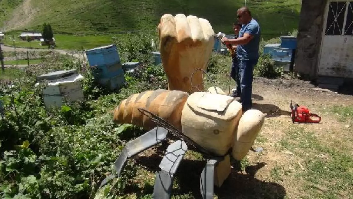 460 Yıllık Çam Ağacından Heykel Yapıyor