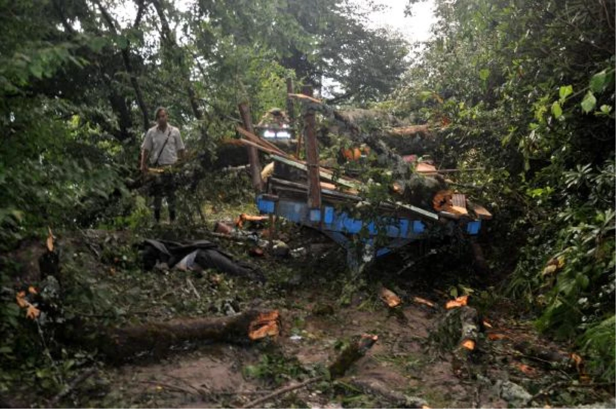 Yığılca\'da Ağaç Traktörün Üzerine Devrildi: 6 Ölü, 25 Yaralı