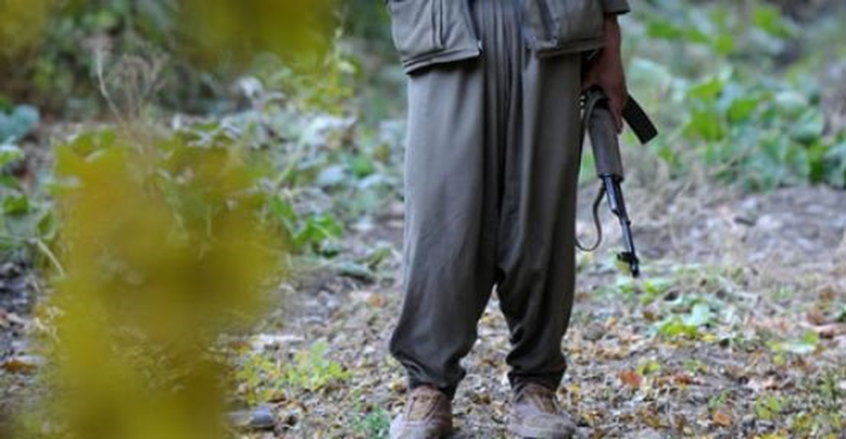 Bitlis\'te 1 PKK\'lı Teslim Oldu, Serbest Kaldı