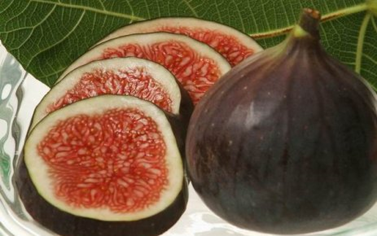 Bursa Siyah İncirinde "Ethephon" Kullanımı Yasaklandı