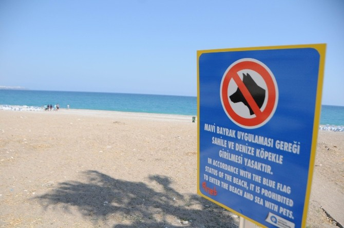 İç Çamaşırından Sonra Köpek de Yasak