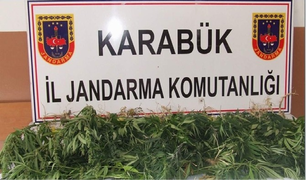 Jandarmadan Kenevir Operasyonu
