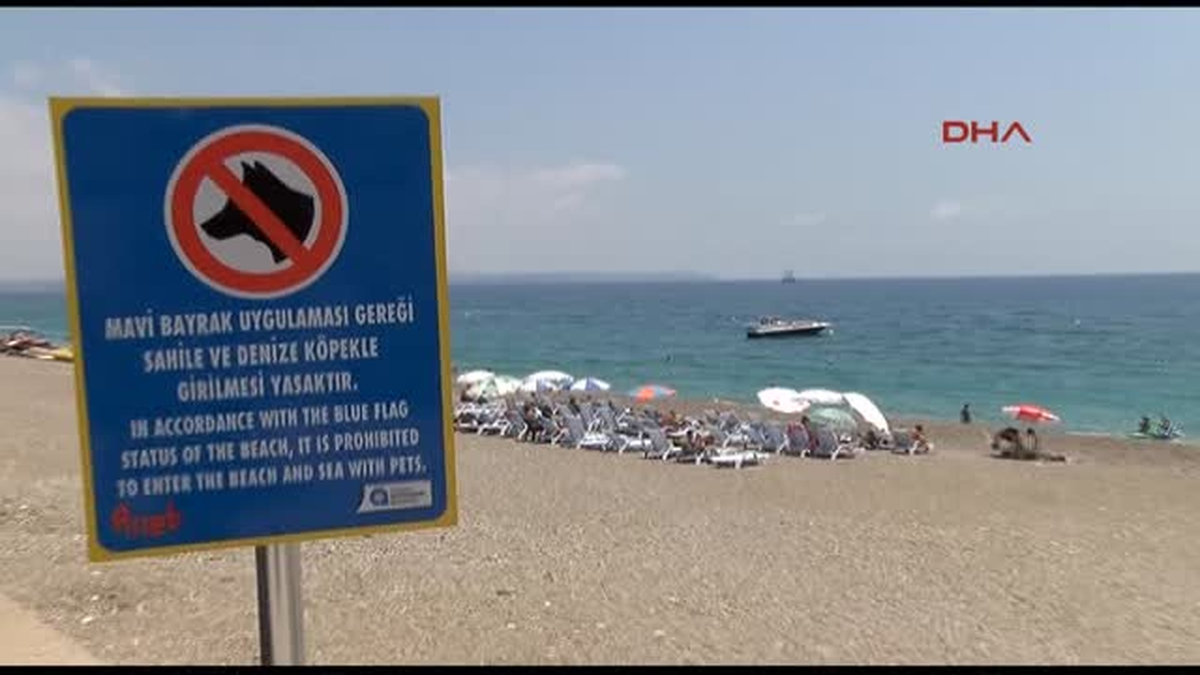Konyaaltı Plajına Köpeklerin Girmesi Yasaklandı