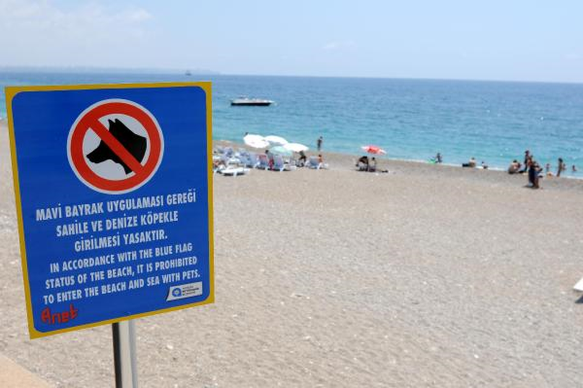 Konyaaltı Plajı\'na Köpek Girmesi Yasaklandı