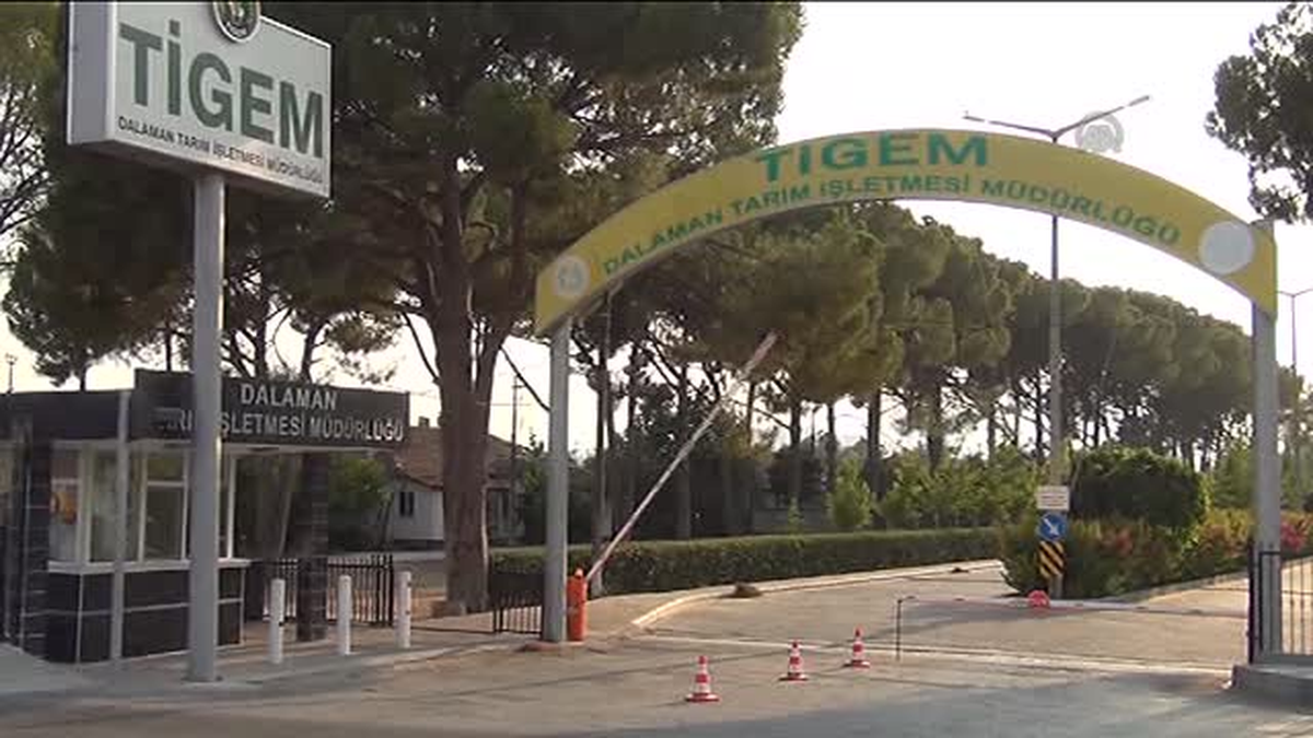 Muğla\'da gıda zehirlenmesi iddiası