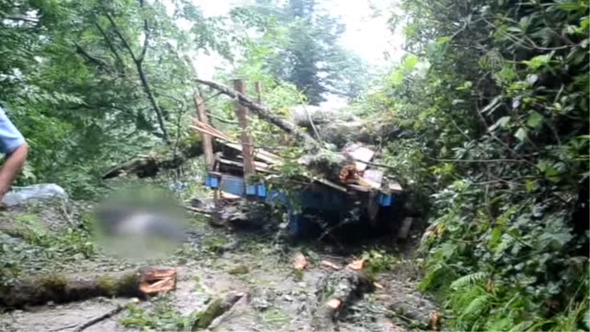Traktörün üzerine ağaç devrildi: 6 ölü, 15 yaralı -