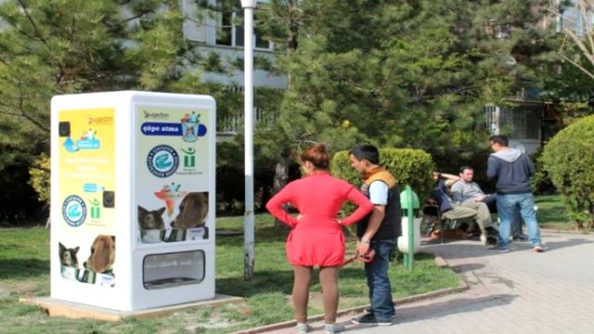 Türkiye\'de Geri Dönüşüm Yaparak Sokak Hayvanlarına Bakabilirsiniz!