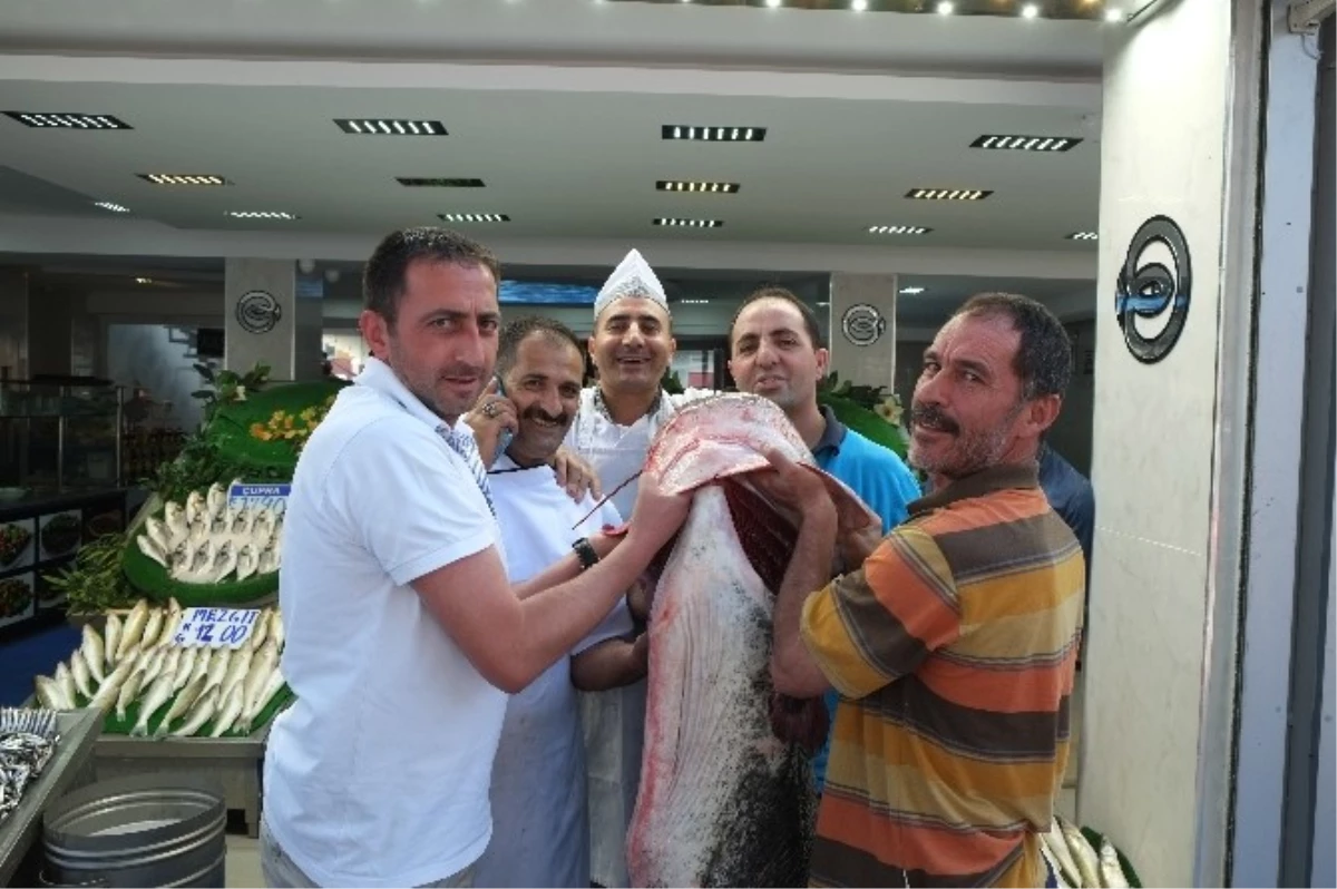 Kayseri\'de 2.5 Metrelik Yayın Balığı Vatandaşın İlgisini Çekti