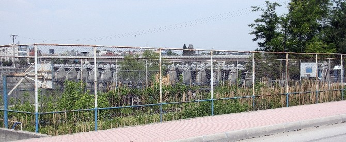 Adana Belediyesi Basketbol ve Voleybol Sahasını Fidanlık Yaptı