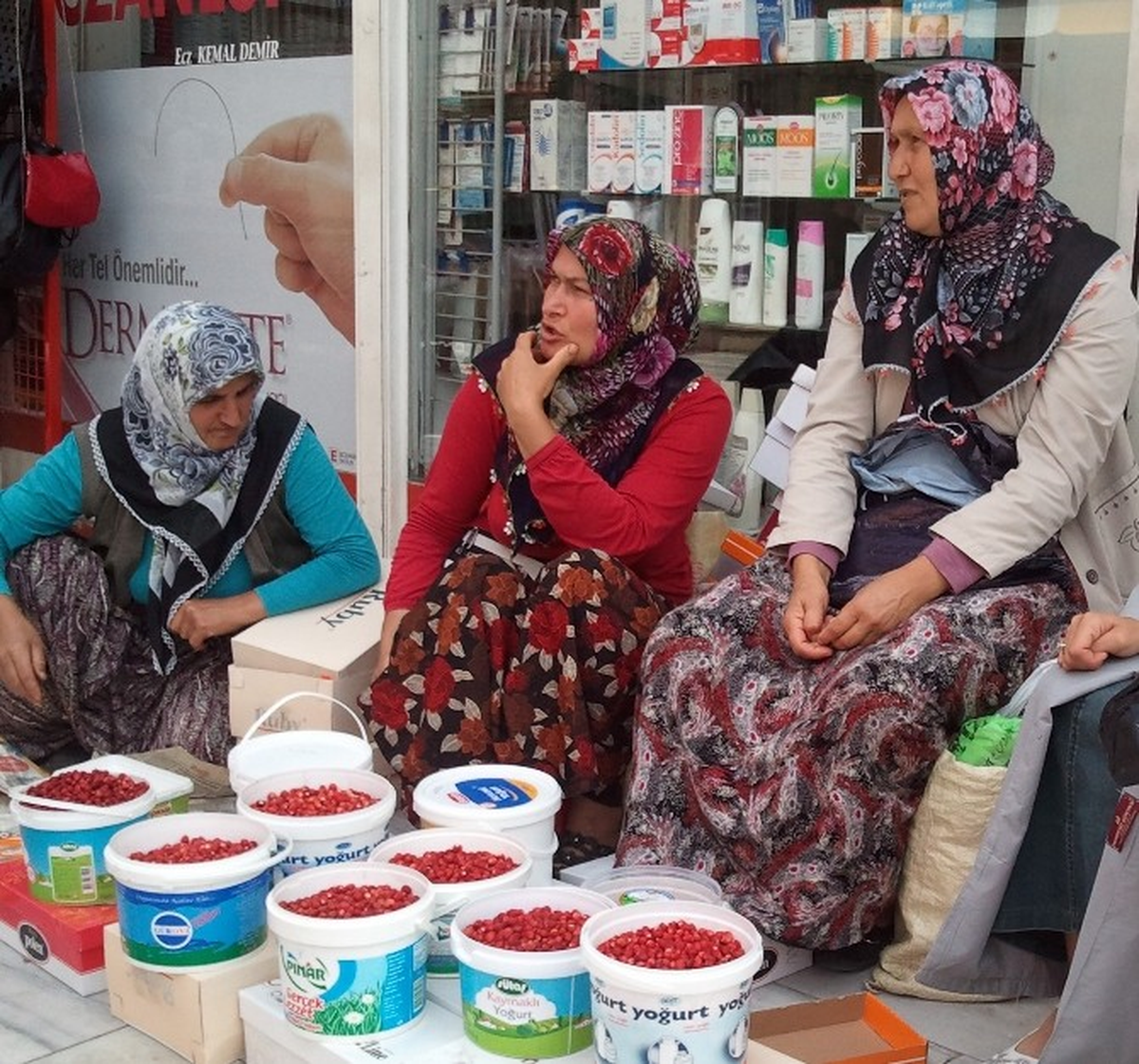 Düzce\'de Dağ Çileği ve Böğürtlene İlgi Büyük