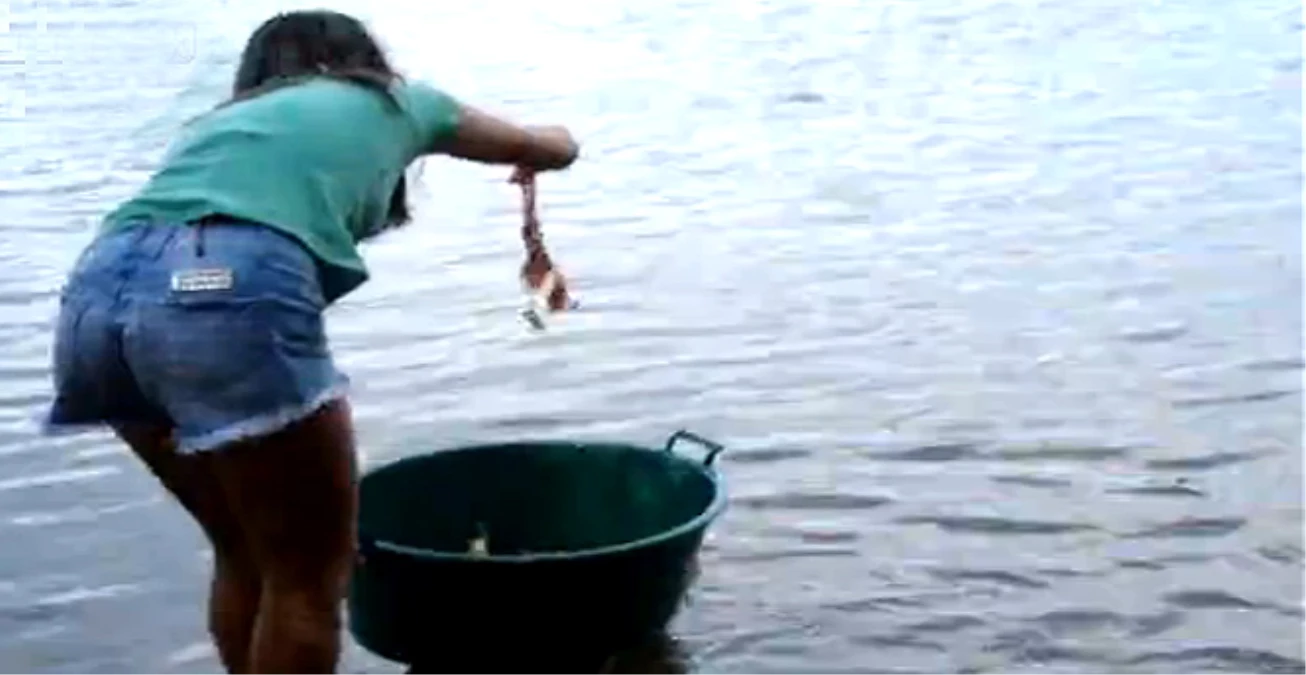 Genç Kız Onlarca Pirana Balığı Yakaladı