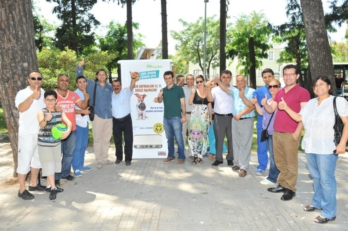 Sokak Hayvanları Geri Dönüşümle Doyacak
