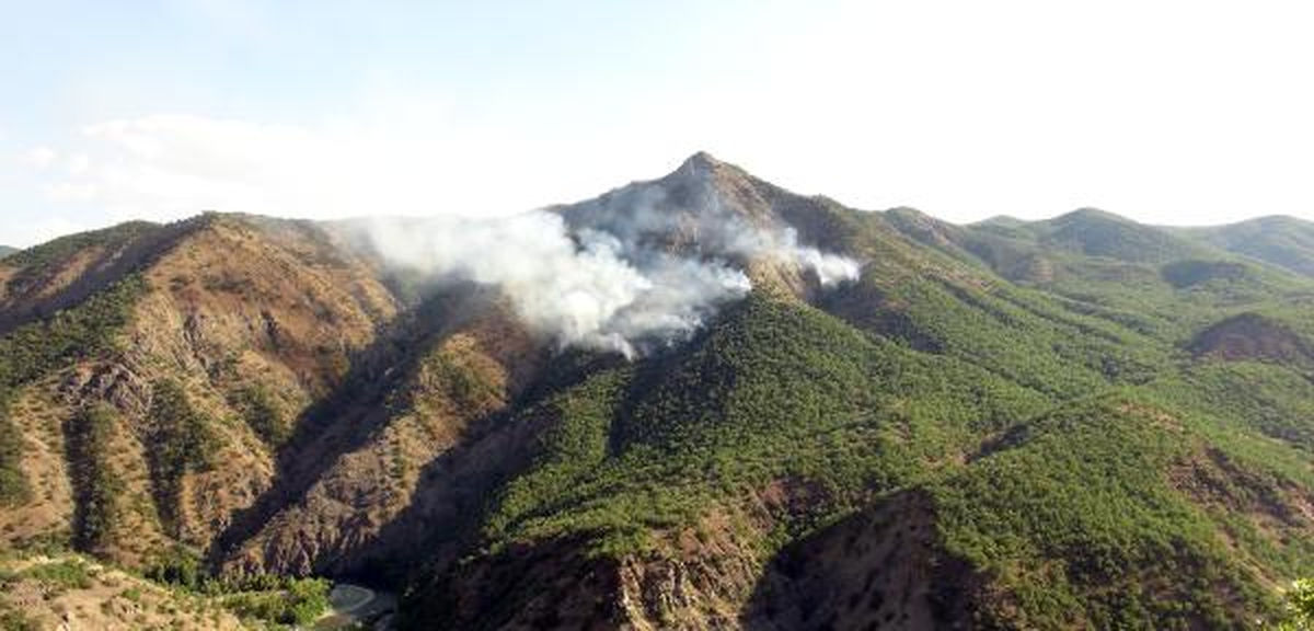 Tunceli\'de Orman Yangını