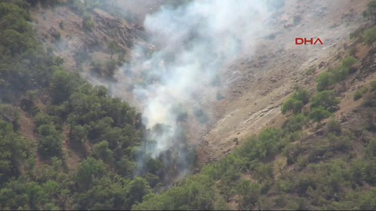 Tunceli\'de Orman Yangını Sürüyor
