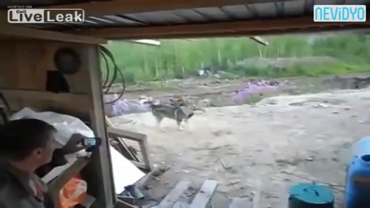 Yavrusunun Yanında Görünce...