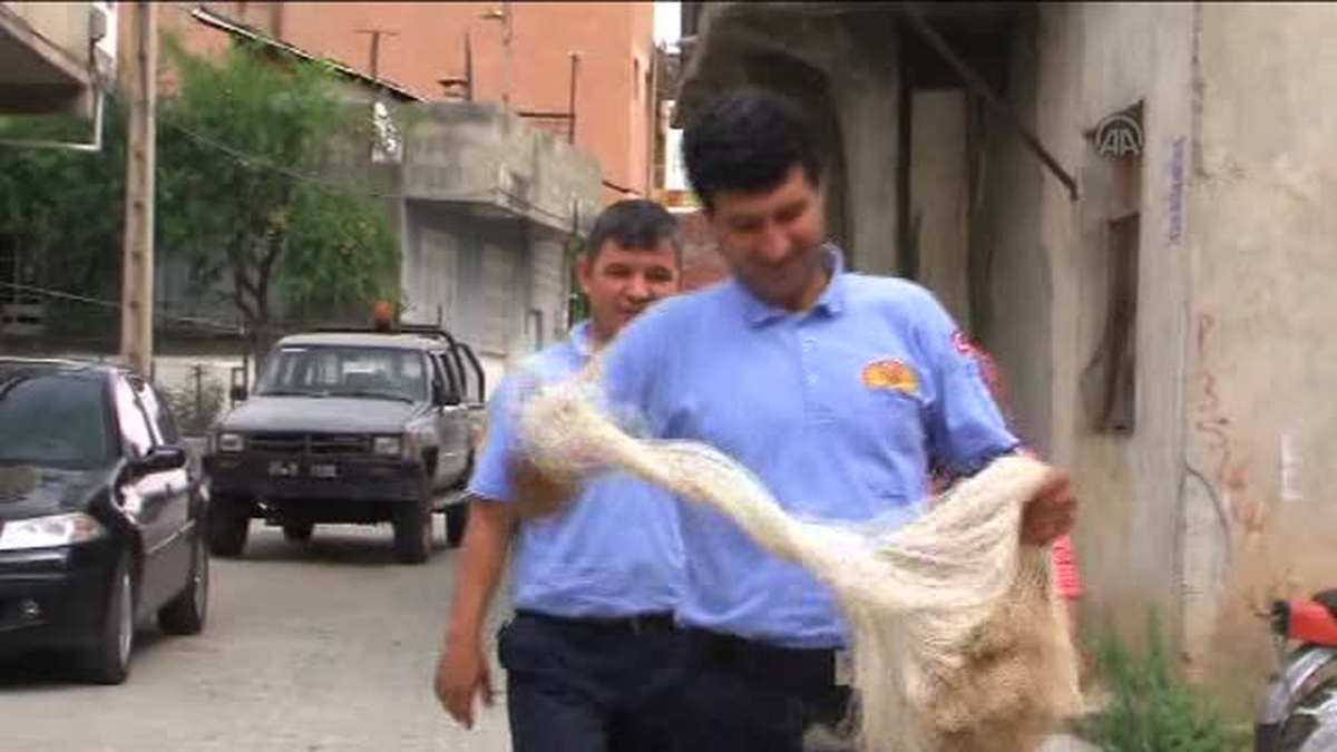Apartmana giren yılanı itfaiye ekipleri yakalandı -