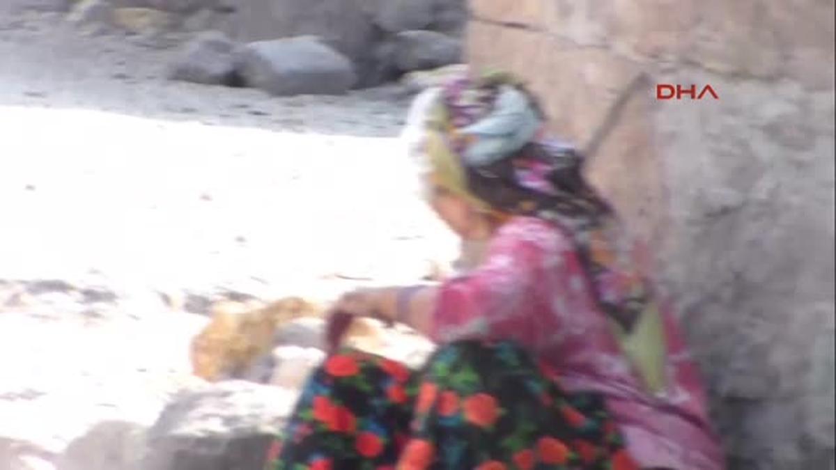 Ayıların Meyve Keyfi