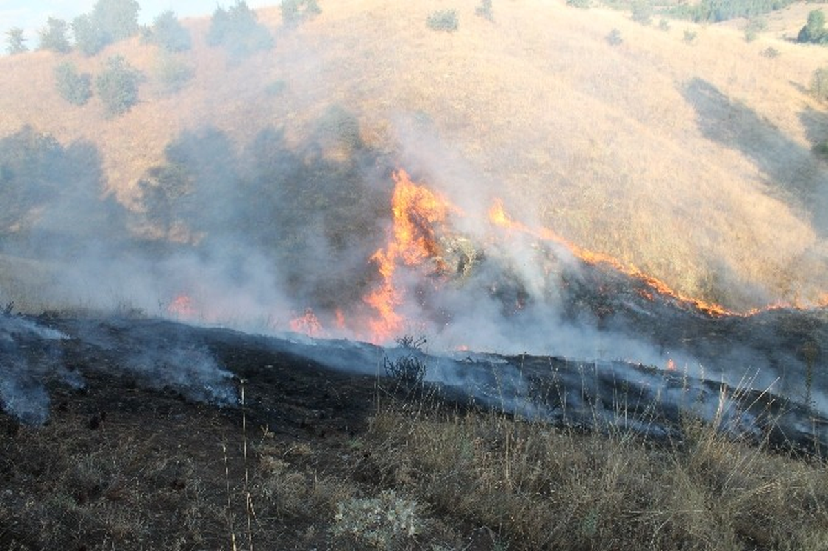 Elazığ\'da Korkutan Orman Yangını