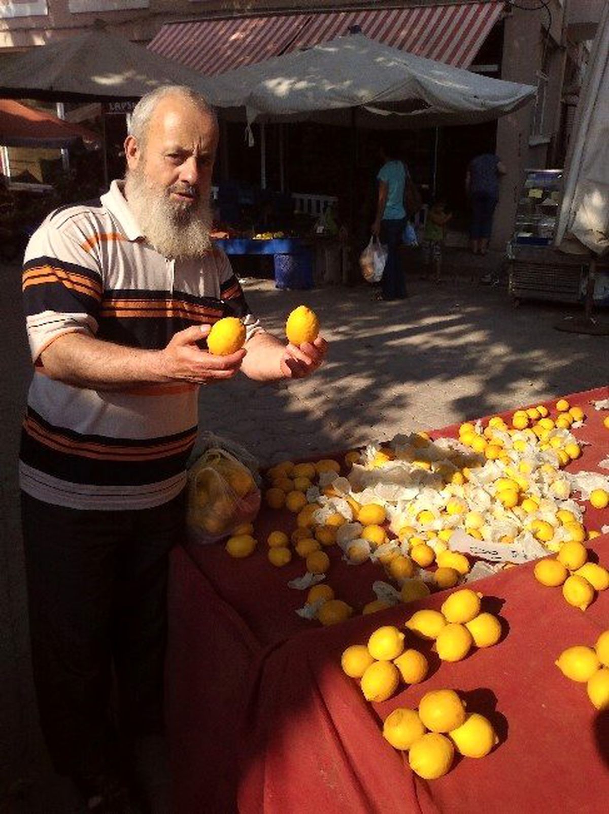 Limona Rekor Zam