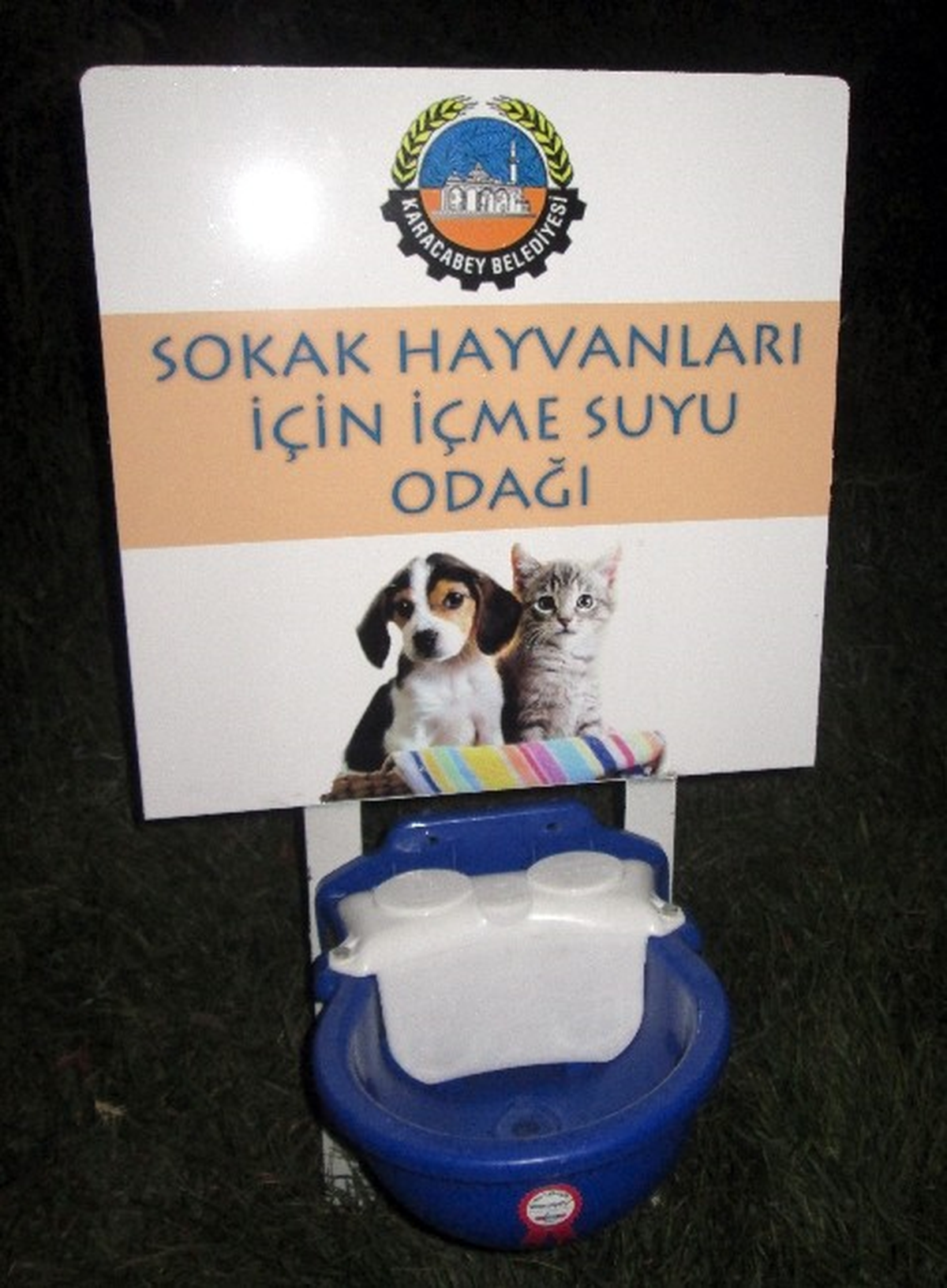 Karacebey\'de Sokak Hayvanları Susuz Kalmayacak