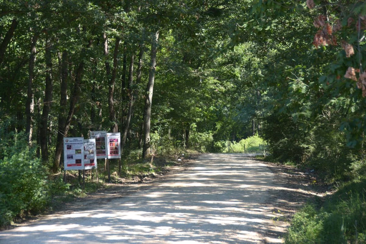 Longoz Ormanları, Güvenlik Kameralarıyla İzlenecek