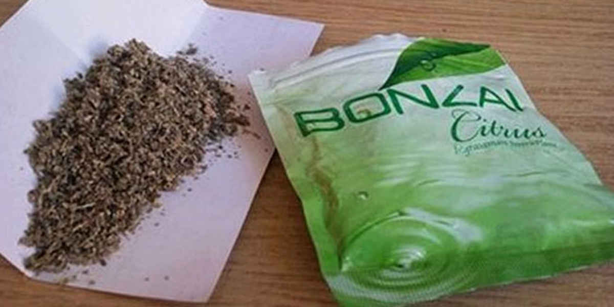 Bonzai İçen Genç Komaya Girdi