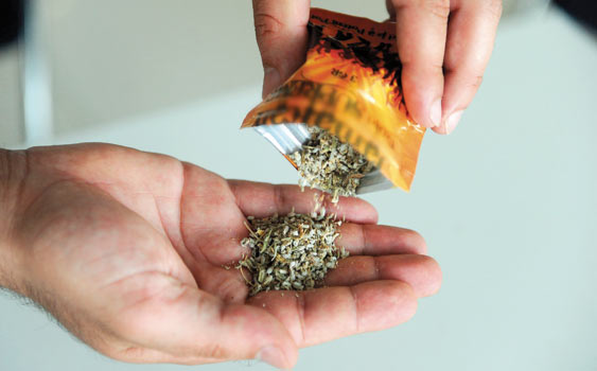 Sakarya\'da 5 Gram Bonzai Ele Geçirildi