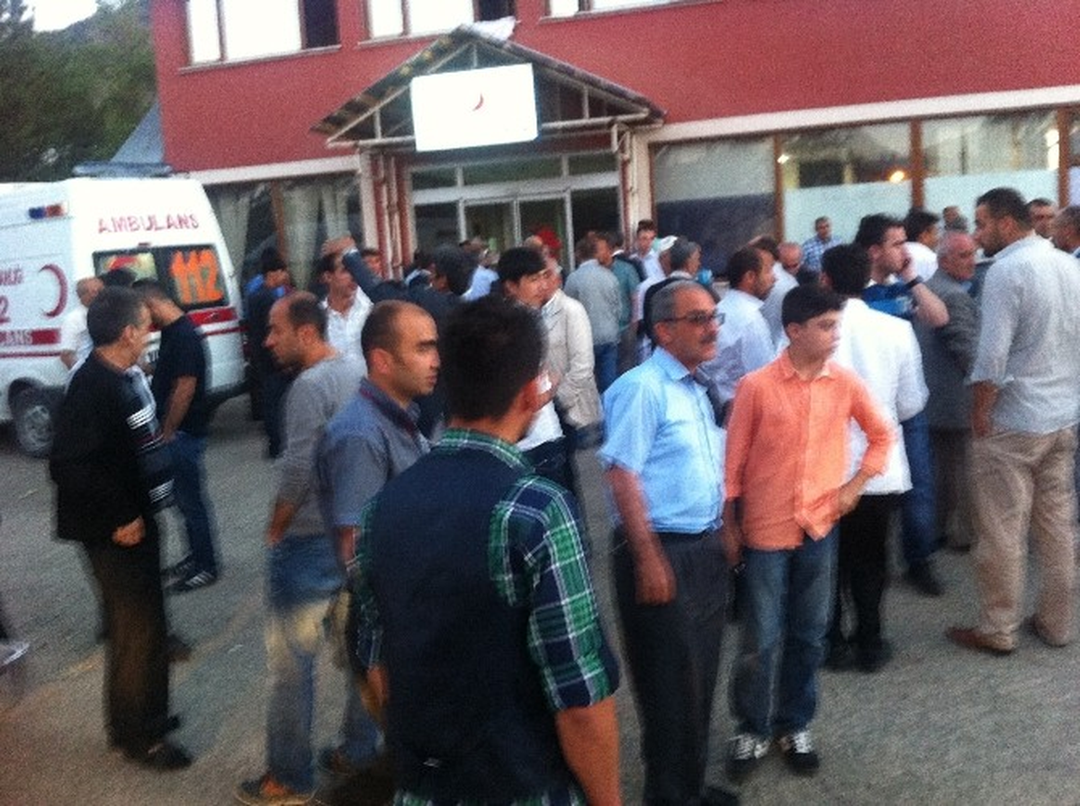 Giresun\'da Ayı Saldırısı: 1 Yaralı