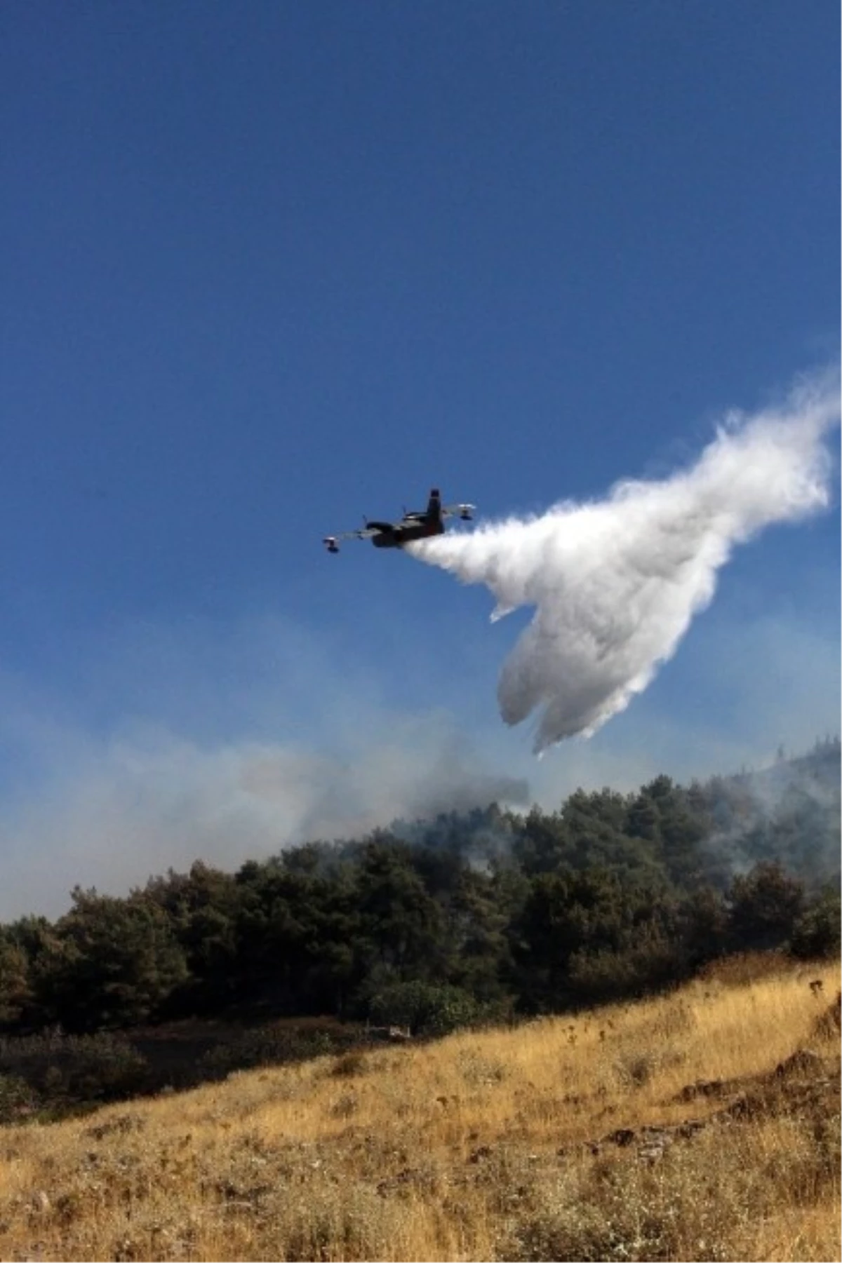 İzmir\'de Orman Yangını Çıktı