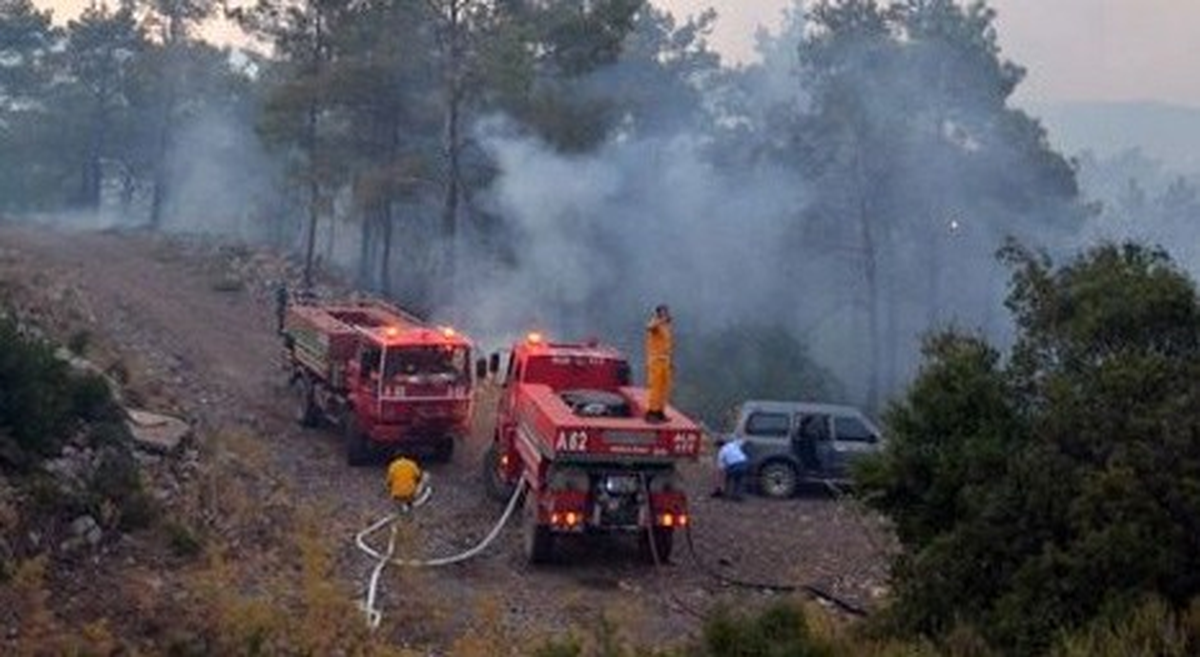 Kartal\'daki Çalılık Yangını Kontrol Altına Alındı