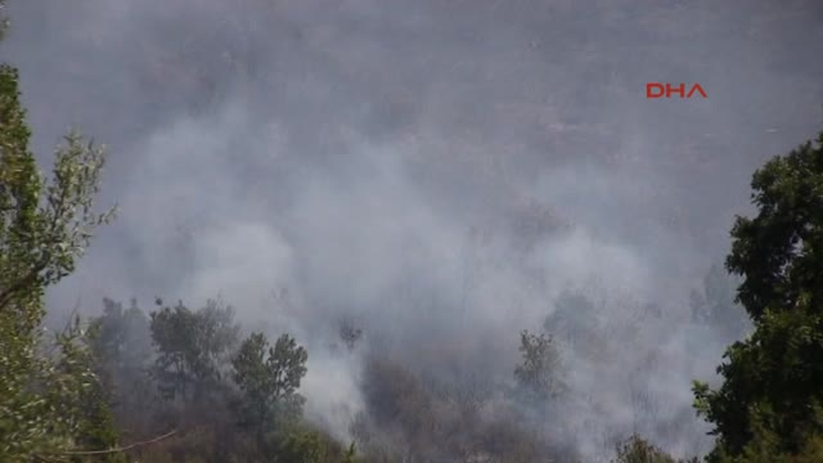 Alevler, 10 Hektar Ağaçlandırma Sahasını Küle Çevirdi