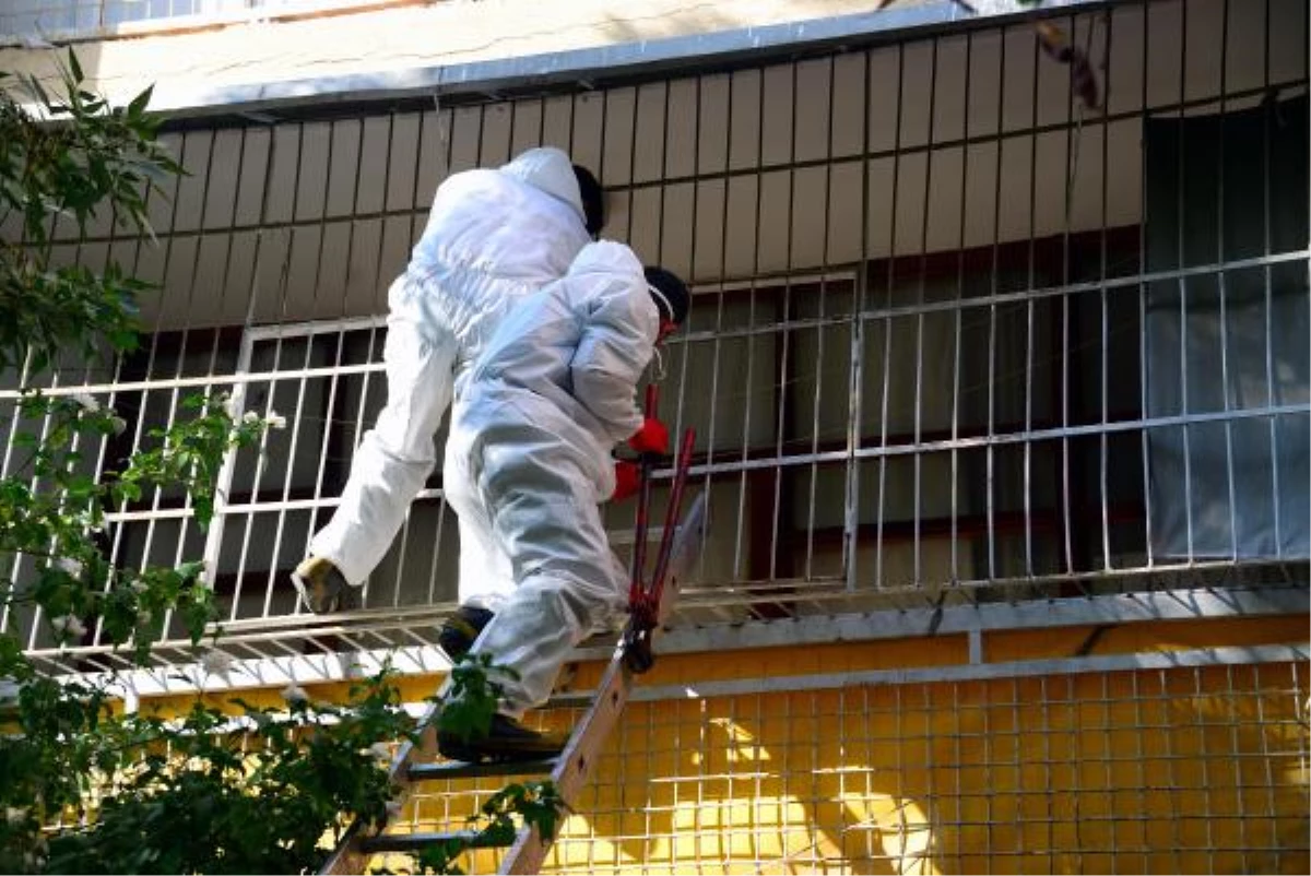 Elektrikler Kesildi, Buzdolabında Et Koktu, Öldüğünü Sandılar